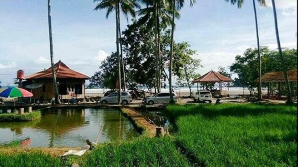 Revive Lampung Krui King Resort Esterno foto
